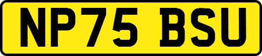 NP75BSU