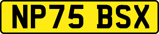NP75BSX