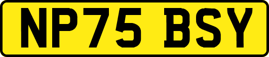 NP75BSY
