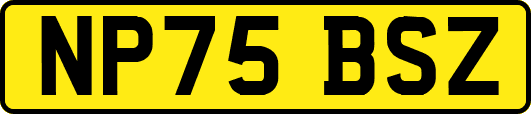 NP75BSZ