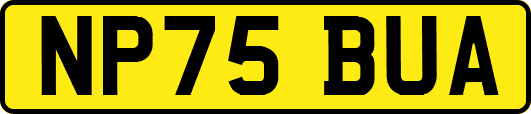 NP75BUA