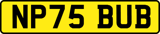 NP75BUB
