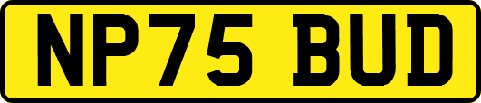 NP75BUD