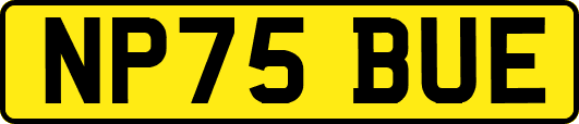 NP75BUE