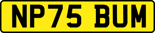 NP75BUM