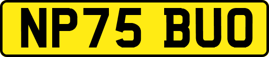 NP75BUO