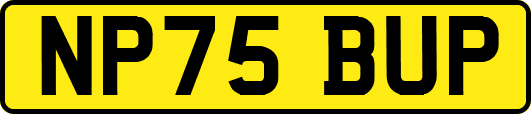 NP75BUP