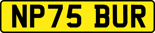 NP75BUR