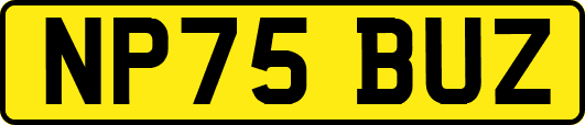 NP75BUZ