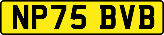 NP75BVB