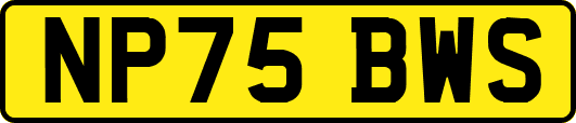 NP75BWS