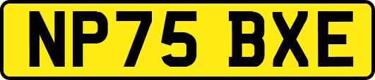 NP75BXE