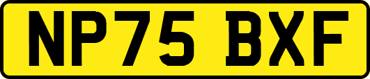 NP75BXF