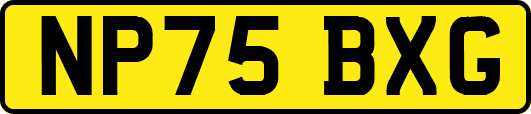 NP75BXG
