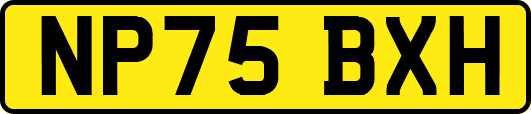 NP75BXH