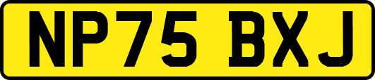 NP75BXJ