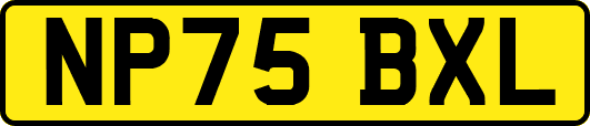 NP75BXL
