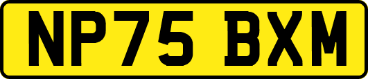 NP75BXM