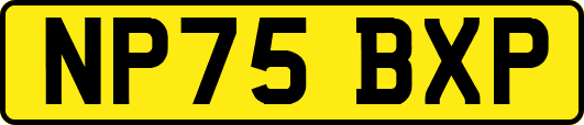 NP75BXP