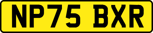 NP75BXR
