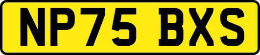 NP75BXS