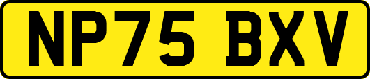 NP75BXV