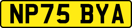 NP75BYA