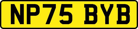NP75BYB