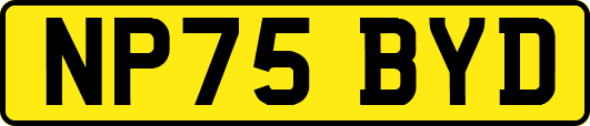 NP75BYD