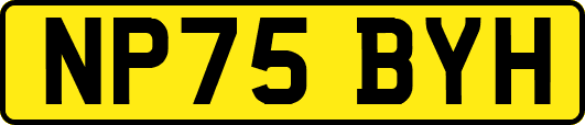 NP75BYH