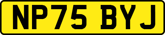NP75BYJ