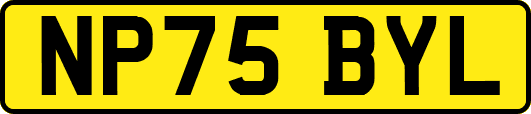 NP75BYL