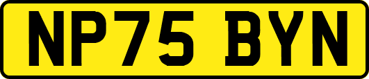 NP75BYN