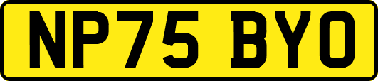NP75BYO