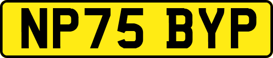 NP75BYP