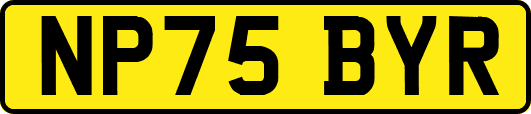 NP75BYR