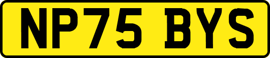 NP75BYS