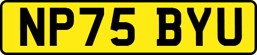 NP75BYU