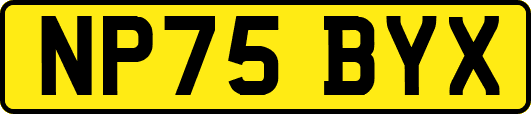 NP75BYX