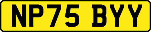 NP75BYY