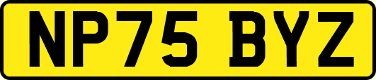 NP75BYZ
