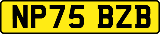 NP75BZB