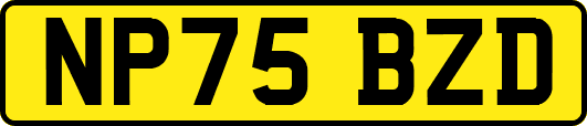 NP75BZD