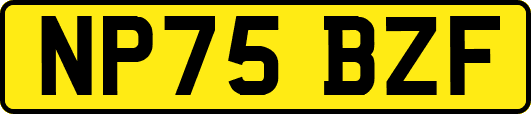 NP75BZF