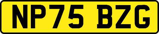 NP75BZG