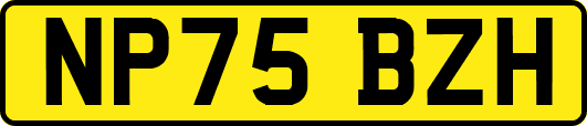 NP75BZH