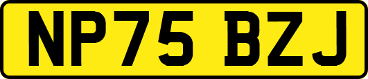 NP75BZJ