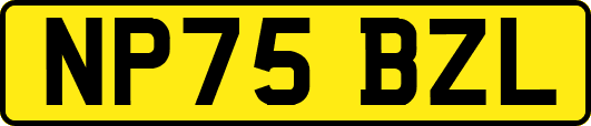 NP75BZL