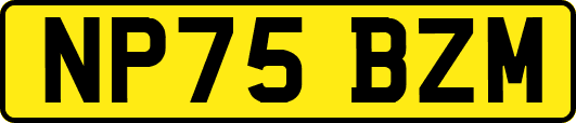 NP75BZM