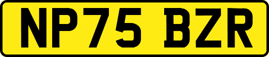 NP75BZR